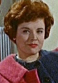 Doctor in Love (1960)